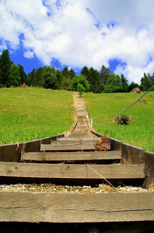 ניוסטיפט אים סטובאיטל Pension Holzknechthof Am See מראה חיצוני תמונה
